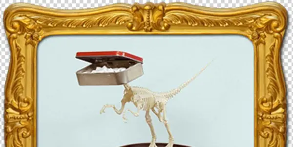 Giraffidae