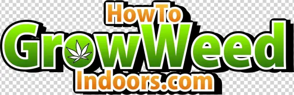 How To Grow Weed Indoors - Orange