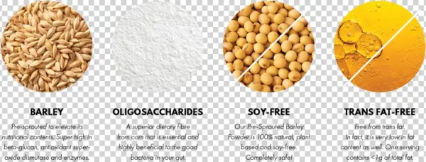 Ingredients-01@0,75x - Dinkel Wheat