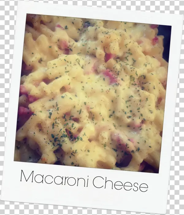 Ingredients 500g Macaroni