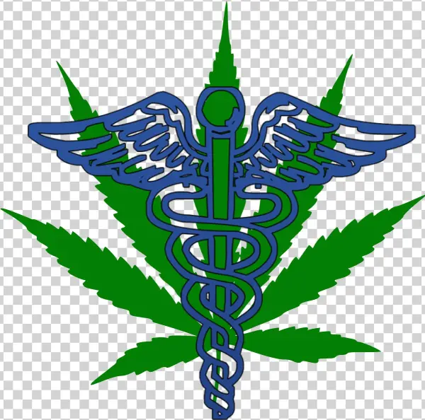 Medical Doctor Png