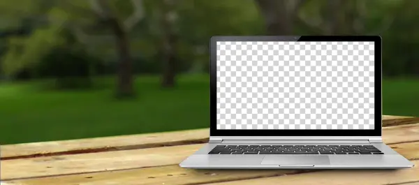 Picnic-computer - Netbook