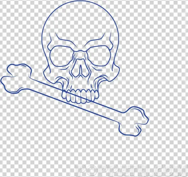 Play Slideshow - Skull
