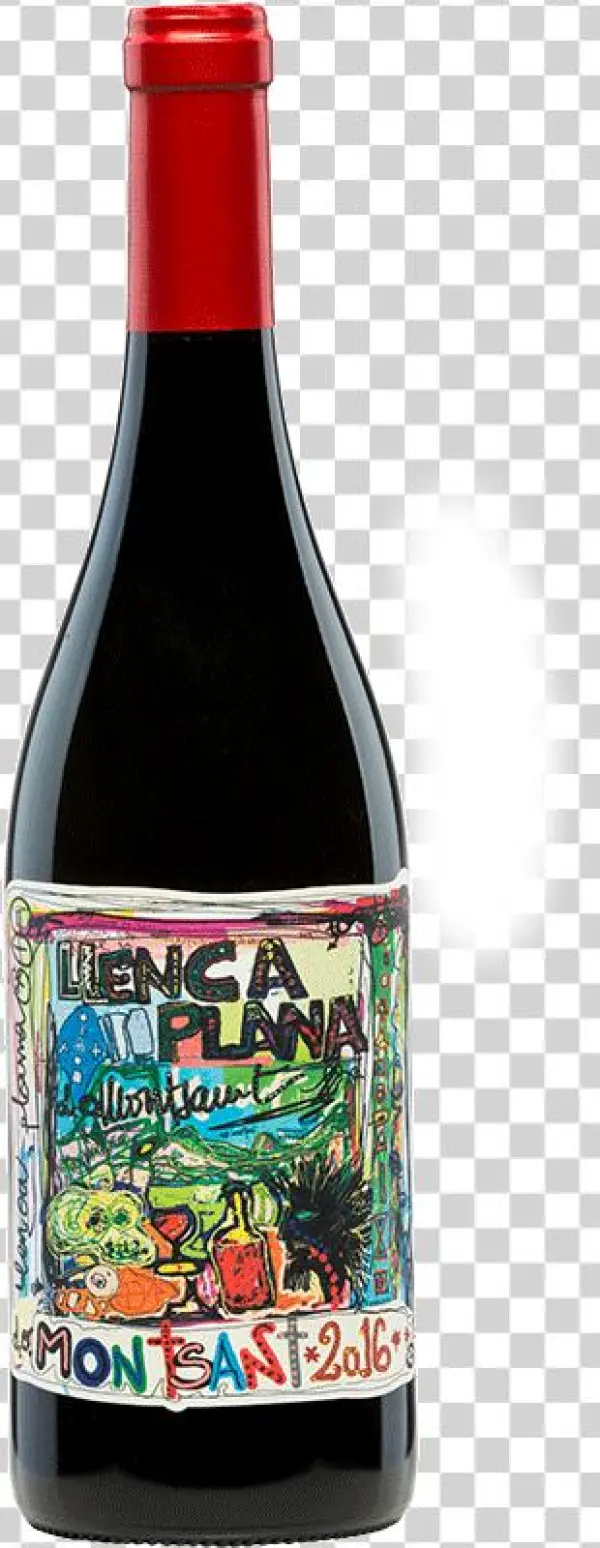 Terra De Falanis Llenca Plana Montsant - Glass Bottle