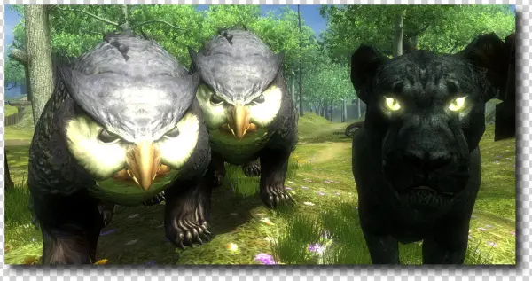 The Gold Seal Gang - Ddo Owlbear