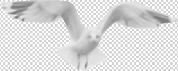 This Free Icons Png Design Of Seagull 01