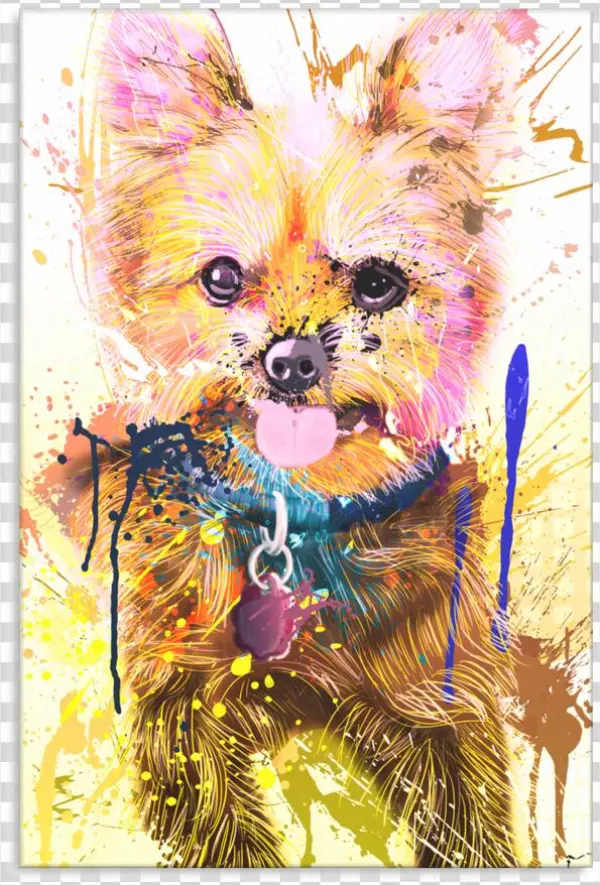 Yorkie Canvas P033 - Kitten