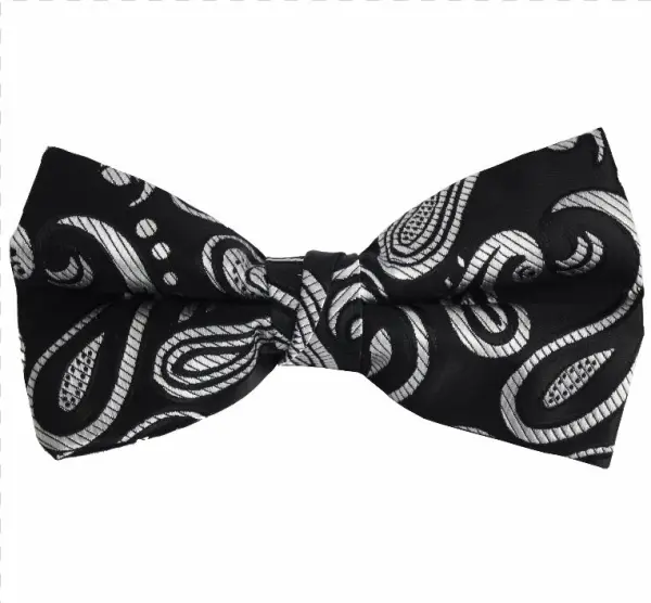 Detailed Colour Bowtie Detailed Colour Bowtie - Paisley