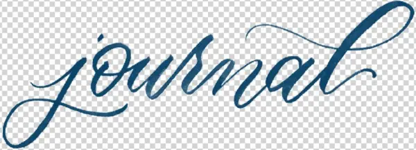 Journal