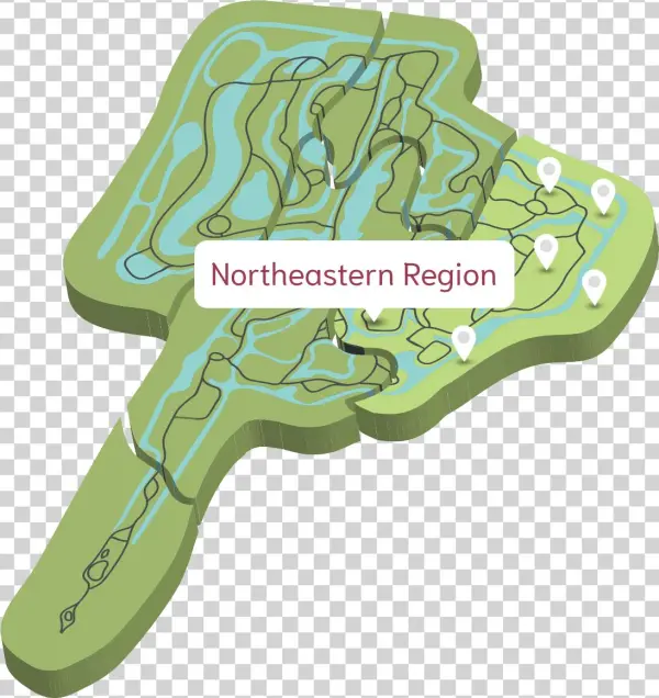 Map Of The Ancient City - Illustration