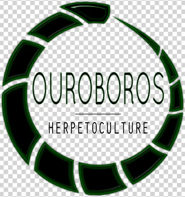 Ouroboros Png