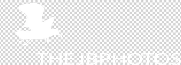 The Jb Photos Nature Photography - Sketch