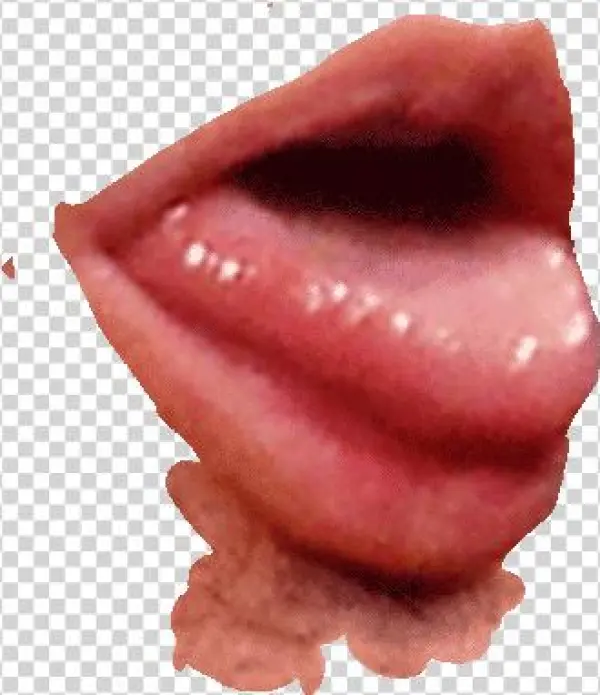 Tongue