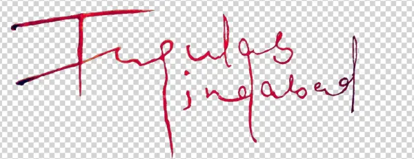 Bhagat Singh Tag - Calligraphy