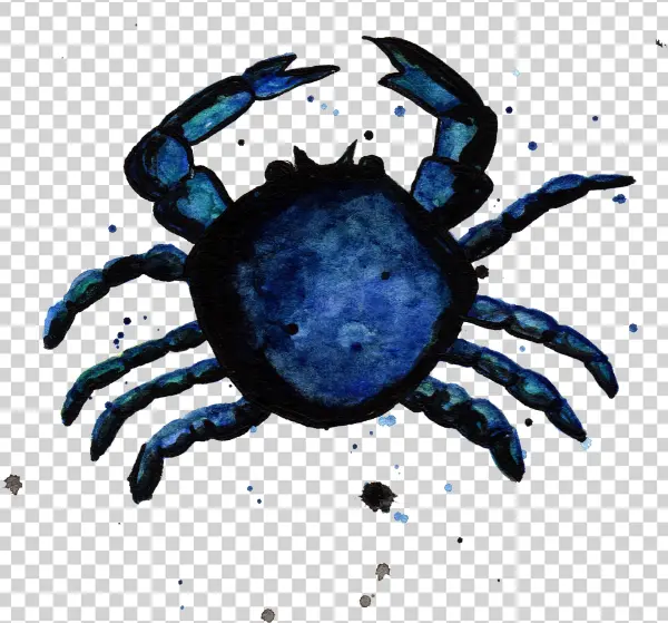 Blue Crab By Chrystal Elizabeth - Water