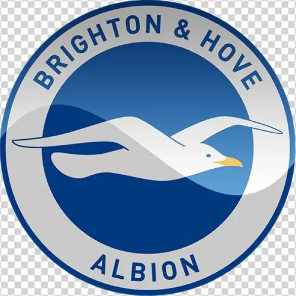 Brighton And Hove Albion On This Day: History, Facts