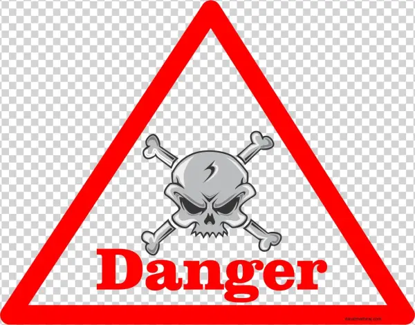 Danger - Leaving Microsoft To Change The World By John Wood