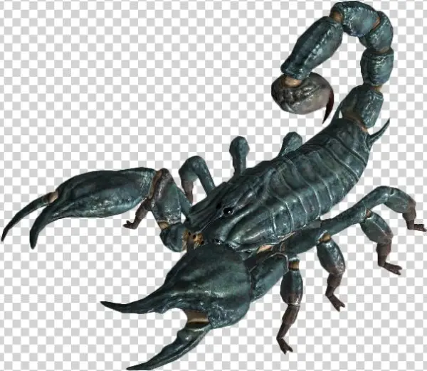 Fallout 4 Radscorpion Png