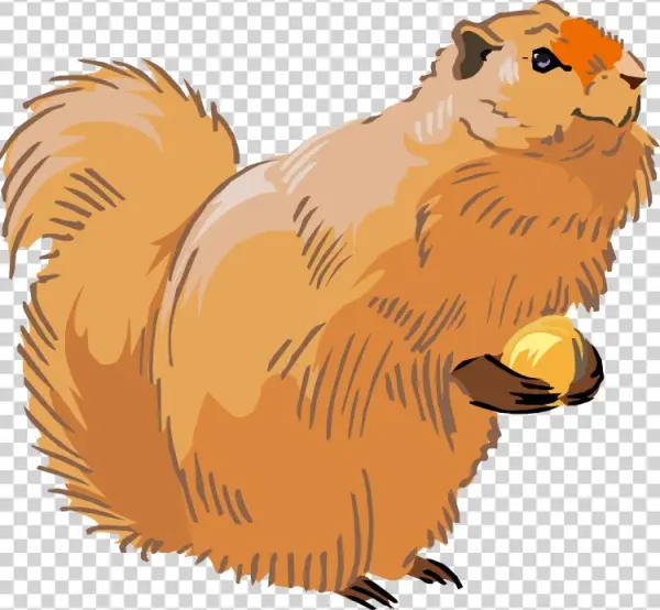 Free Squirrel Clipart - Clip Art