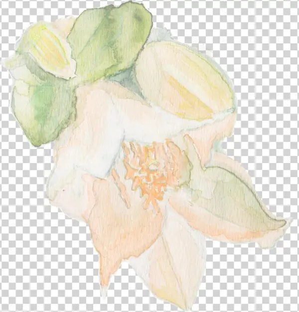 New Pattern Is Inspired By The Flowers Growing In Spanish