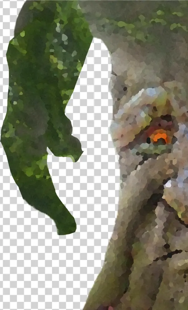 View Samegoogleiqdbsaucenao 1500505416643 , - Swamp Birch