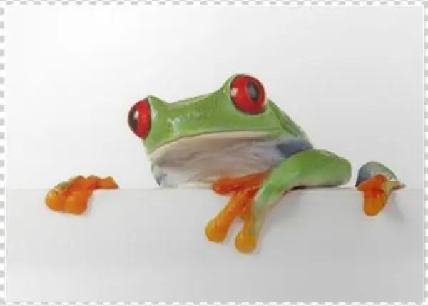 Z Zab W Ksiezniczki By John Grinder