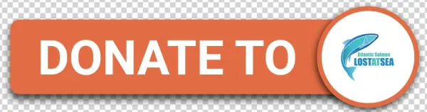 Atlantic-salmon - Portable Network Graphics