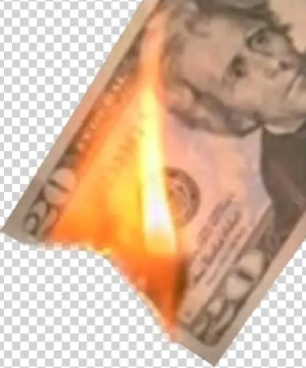 Cafepress Andrew Jackson Portrait Throw Pillow