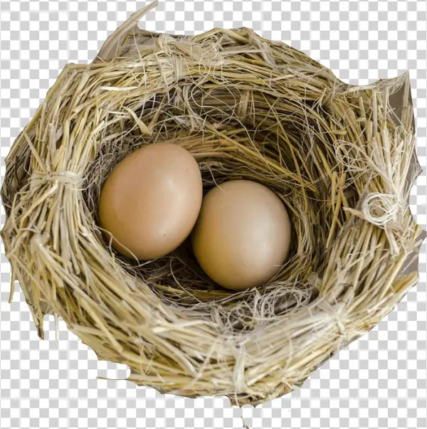 Ein Nest Für Zwei: Gay Romance [book]