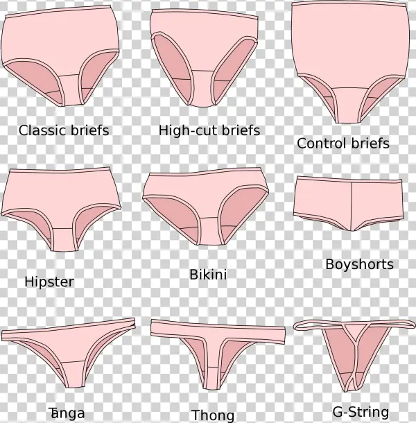 File Panties Styles Bn Clip Art Royalty Free Stock - Kroje Majtek