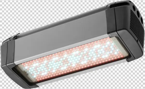 Fl300 Grow White - Grow Light