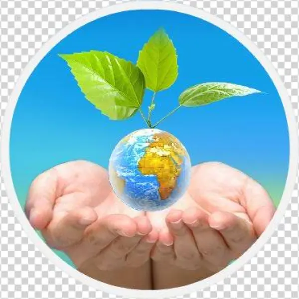 Forgin Casting Rajkot - School