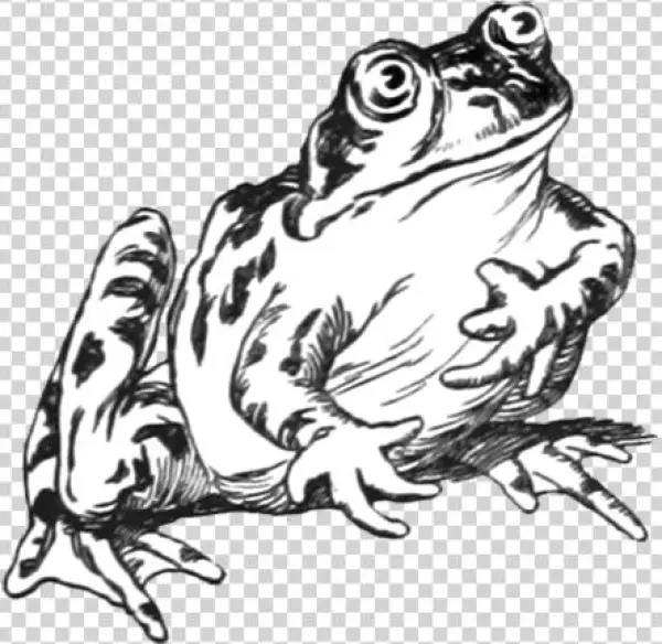 Frog Clip Art - Three Sunsets And Other Poems [book]