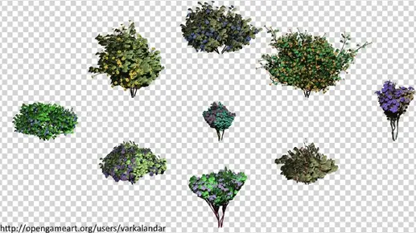 Hjm Randomized Forbs 03 Alpha - Illustration