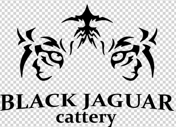 Logo4 - Custom Mtb/ Cycling Jerseys