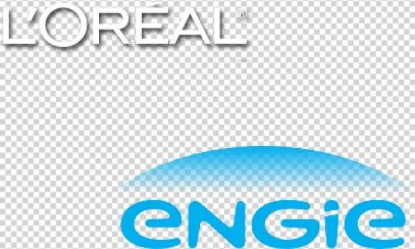 Ms Logo Custom - Parallel