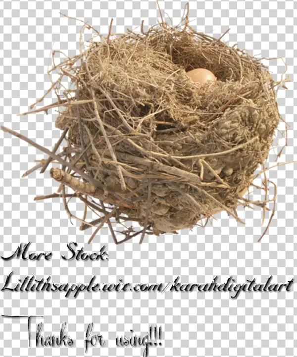 Nest Free Png Image - Stock Photography