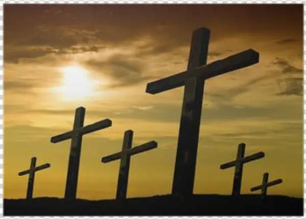 Нгс.новости