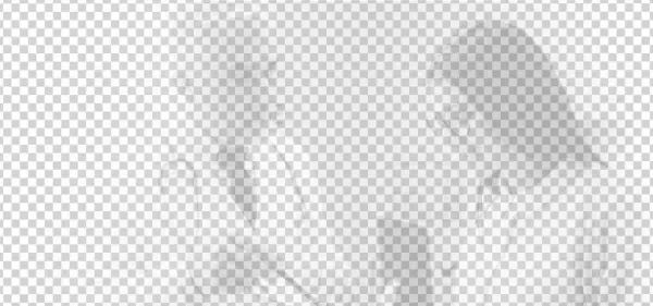 Online Tools - Sketch