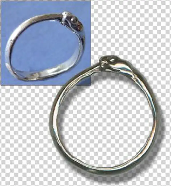 Ouroboros Ring - Ring