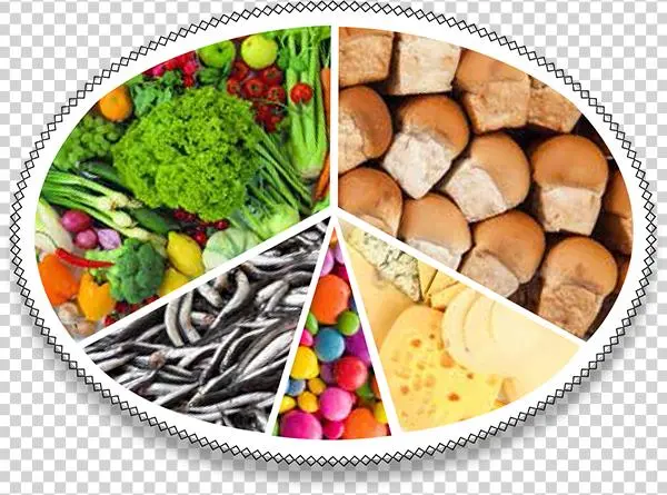 Plate - Health And Dieting With The Benefits Of Oils And Nutrition: