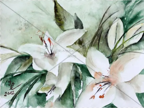 Postcard Ossenberg - Lily Family