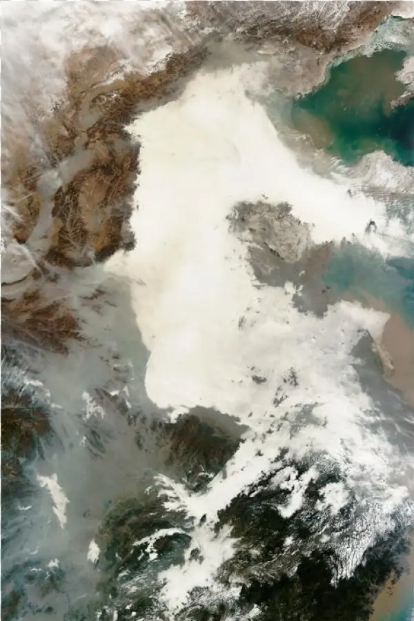 'tarantella' Go Itami - Itami