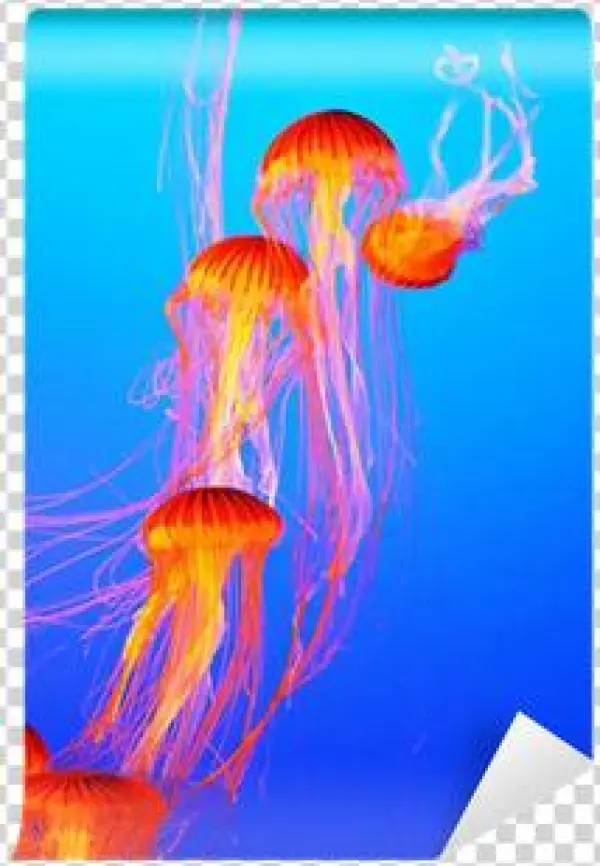 The Jellyfish With Thin Tentacles Wall Mural • Pixers® - Tentacle