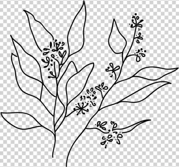 Tumblr Black And White Png