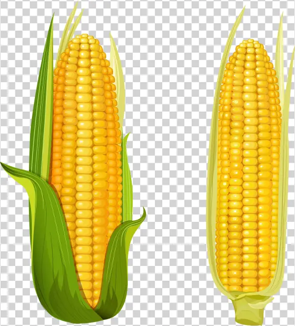 0 125c8e 4882674d Orig