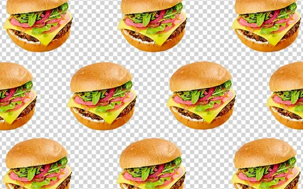 2005-veggiegrill - Portable Network Graphics