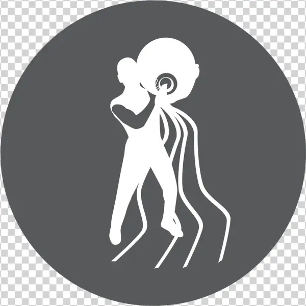 Äpfel Mit Birnen Vergleichen