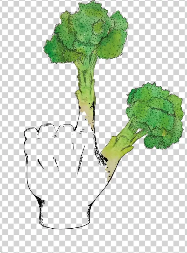 Broccoli Fingers