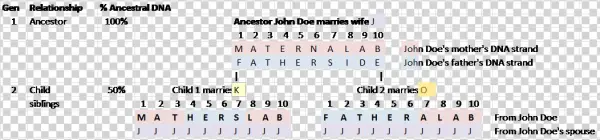 Concept Ancestor Inheritance Child - Child
